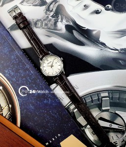 Đồng hồ Seiko SXDG95P1 - Nữ - Quartz (Pin) Dây Da - Chính Hãng